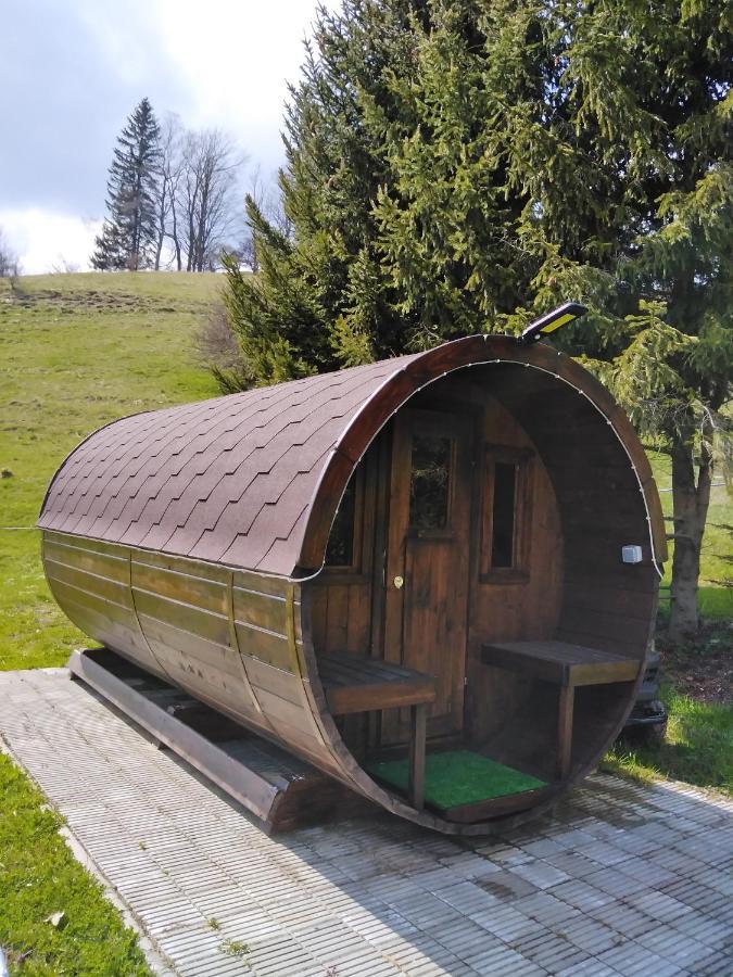 Penzion Iris Krkonose Horní Maršov Екстериор снимка