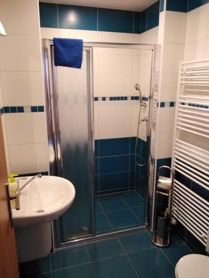 Penzion Iris Krkonose Horní Maršov Екстериор снимка