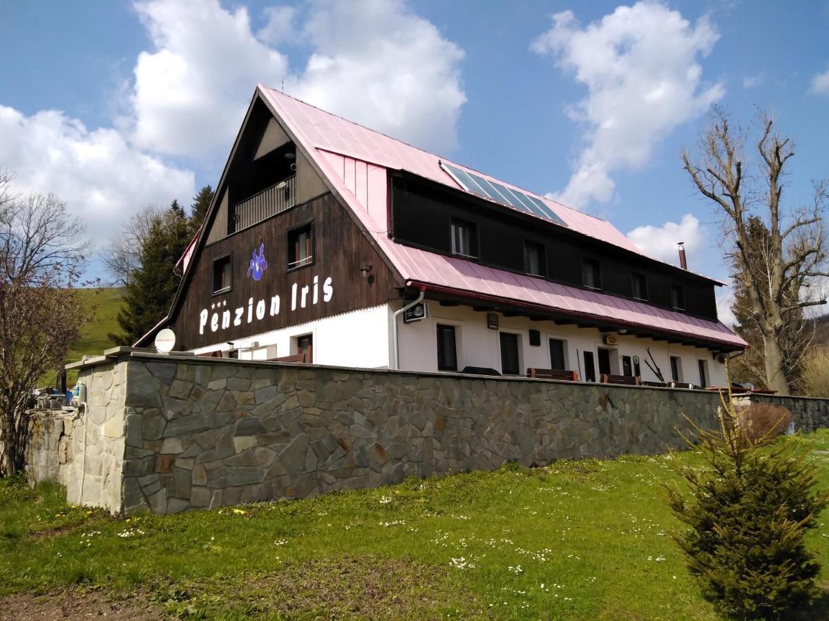 Penzion Iris Krkonose Horní Maršov Екстериор снимка
